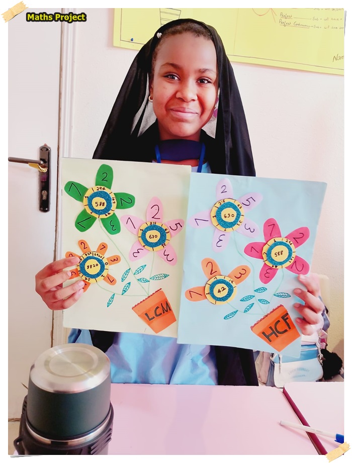 Maths Project